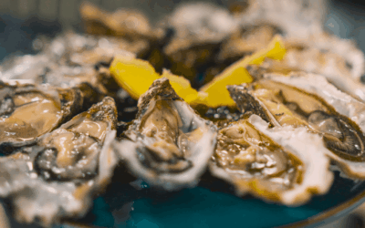 Dégustez les huitres de l’Ile aux Moines, langoustines et palourdes